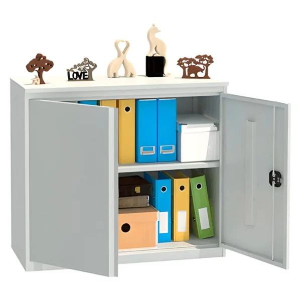 Металлический архивный шкаф ALR 8810